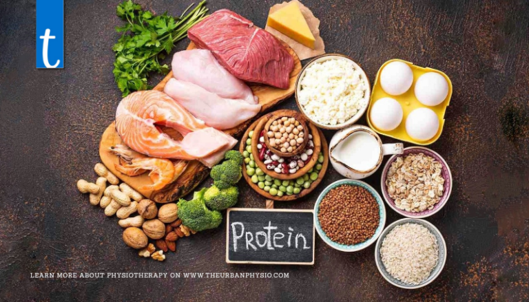 High-Protein Diets: How Protein Fuels Weight Loss and Muscle Health