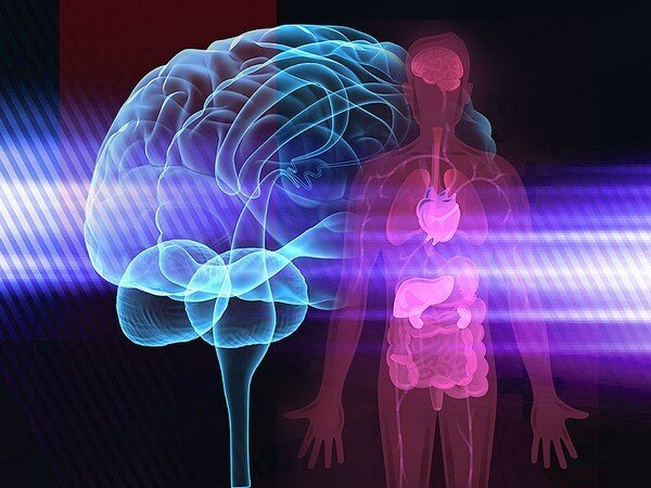 Stress and Physical Pain: The Mind-Body Connection Explained